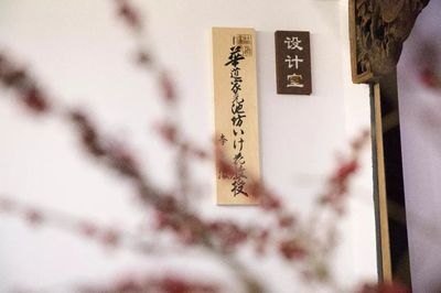 一日僅售五盒！這家空間的高品質(zhì)茶果子，顏值高到讓人舍不得入口